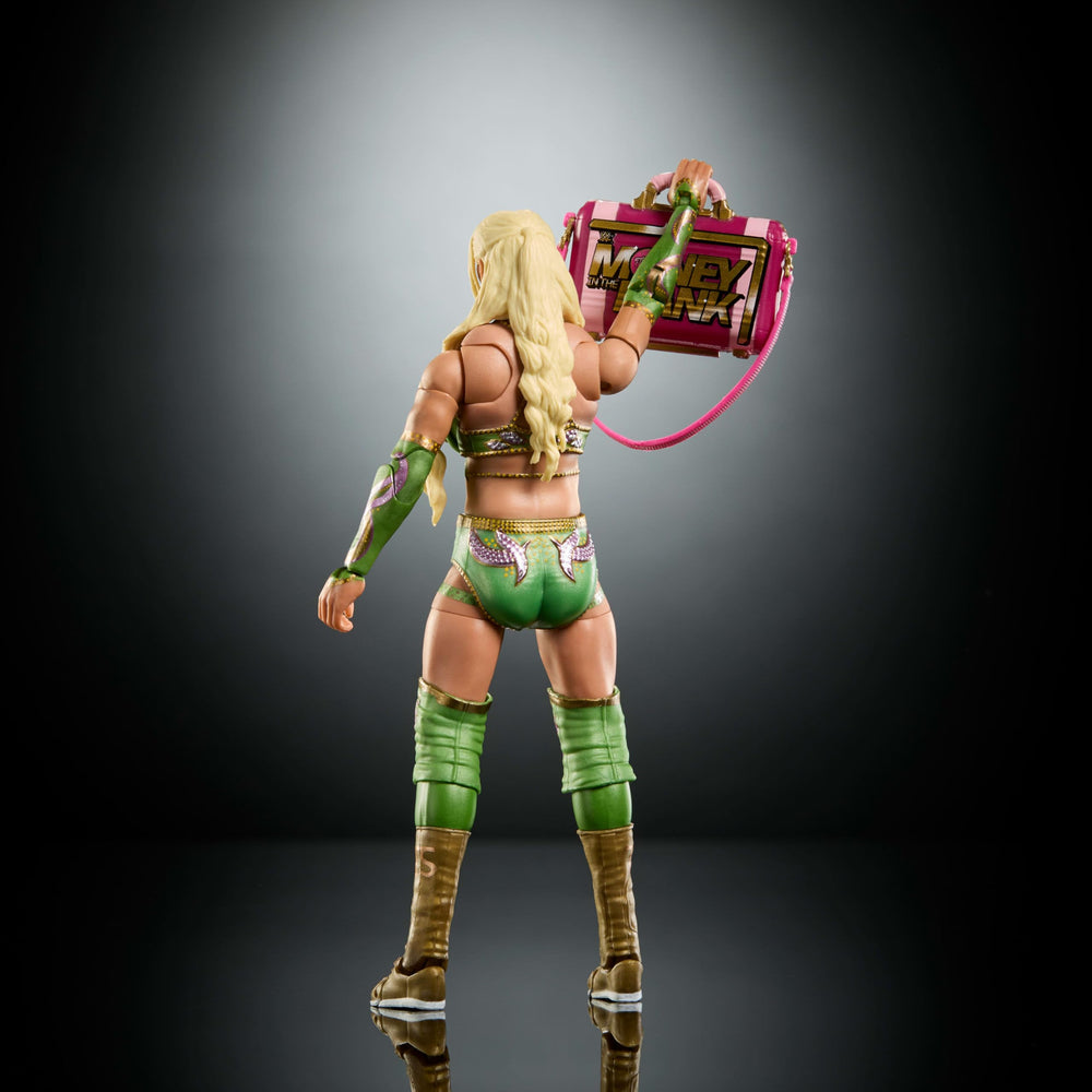 Mattel WWE Tiffany Stratton accessories set enhances storytelling and play scenarios