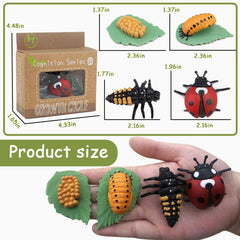 Mbrain frog figurines support hands-on metamorphosis exploration through play