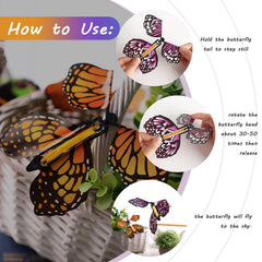 MCPINKY wind-up action illustrates quick, engaging butterfly flight.