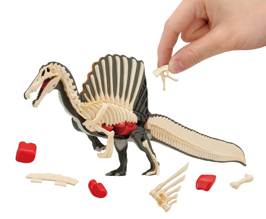 Megahouse Spinosaurus Kaitai Puzzle skeleton assembly for budding paleontologists.