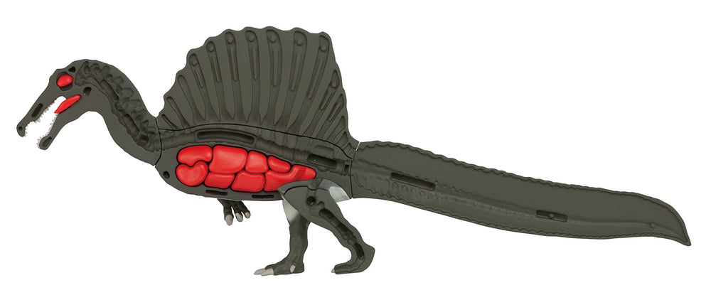 Megahouse Spinosaurus safety label indicates compliant North American standards.