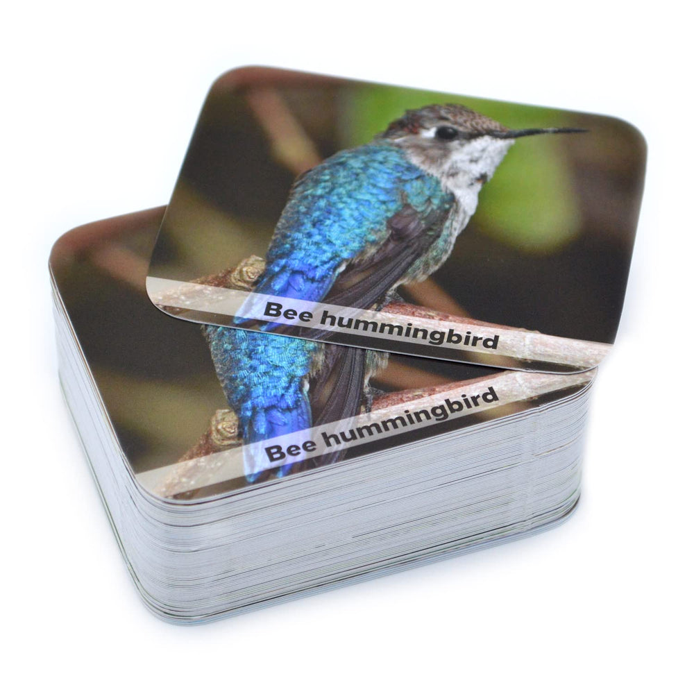 Menique memory game gift-ready packaging for family gifting.