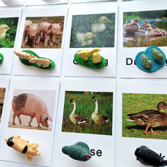 MEROCO animal figures measure 2 to 3 inches for tactile matching activities.