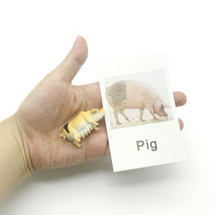 MEROCO preschool-friendly activity is ideal for home or classroom use.
