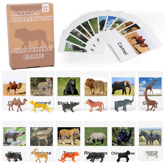 MEROCO Zoo Safari matching cards set supports early vocabulary development through visual word matching
