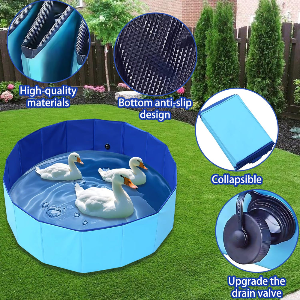Merrisport slip-resistant bottom enhances safety during pet swimming