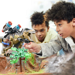 Mesiondy 4-hour assembly time helps plan engaging play sessions.