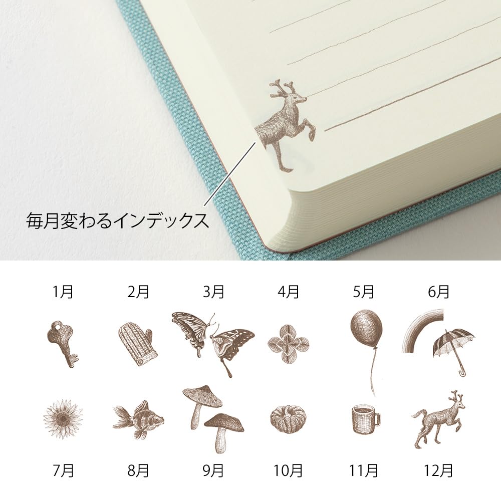 Midori Phil Design Three Years Diary case dimensions help you gauge portability.