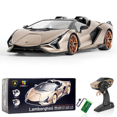MIEBELY Lamborghini RC Car officially licensed emblem validates authenticity and collector appeal.