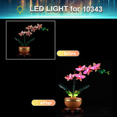 Mililier lighting kit offers USB or battery power for flexible setup.