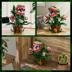 Packaging box for the Audrey II set enhances gift presentation