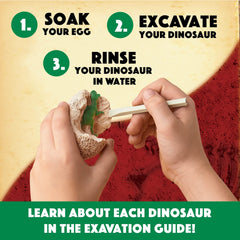 MindWare Dig It Up instruction sheets guide young explorers.