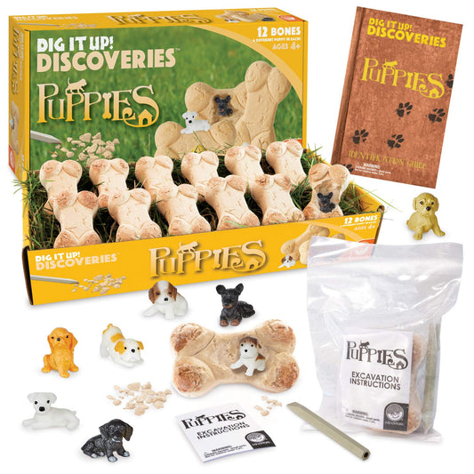 MindWare Dig It Up Puppies bone close-up for hands-on discovery and play.