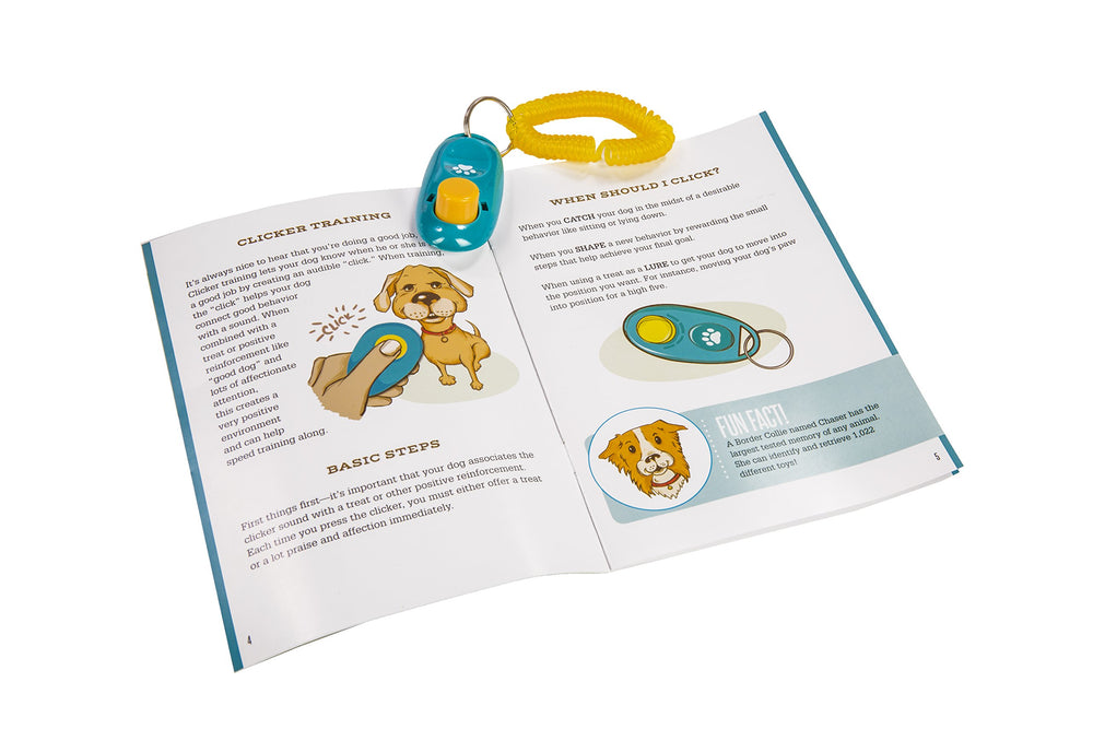 MindWare Doggy Day Camp bonding activities deepen trust between you and your dog.