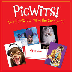 MindWare PicWits game play in action during lively rounds with changing judges.