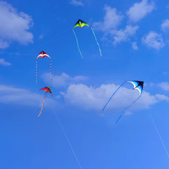Durable frame upgrades offer lasting performance during outdoor adventures.