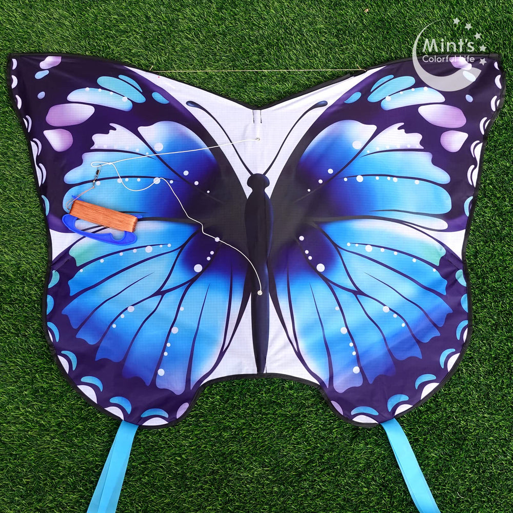 Mint's Colorful Life kite with easy assembly shown for quick setup