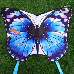 Mint's Colorful Life kite with easy assembly shown for quick setup