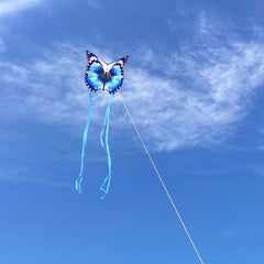 Mint's Colorful Life butterfly kite outdoors, family-friendly activity in sunny weather