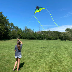 Mint's Colorful Life at the beach with kite in action for family time.