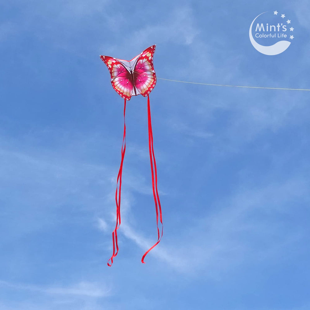 Mint's Colorful Life butterfly kite pink packed in a compact bag for travel.