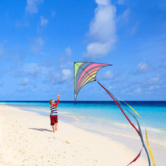 Mint's Colorful Life Delta Kite on the beach makes family time lively.