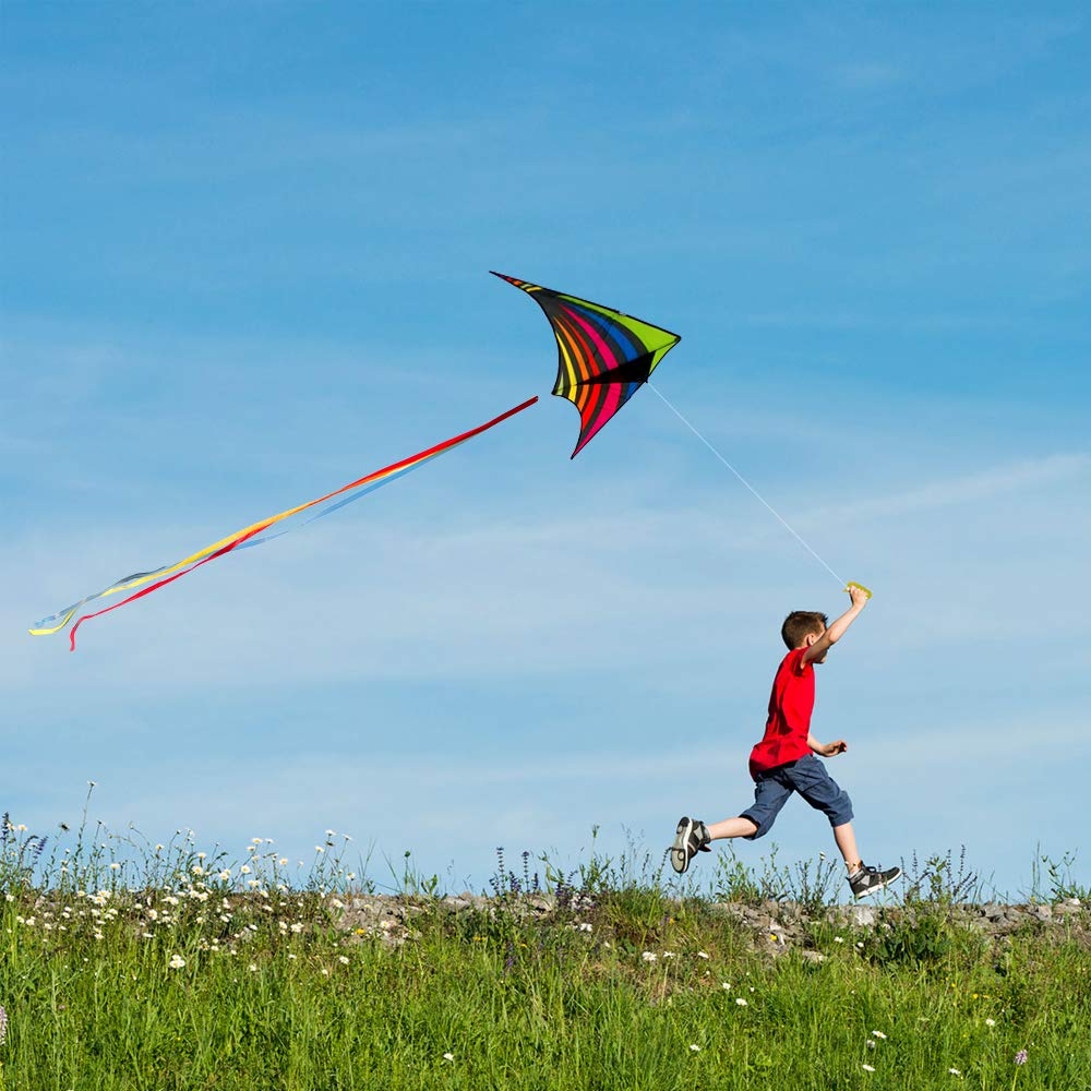 Mint's Colorful Life Delta Kite arrives compactly in a 63x30 inch frame.