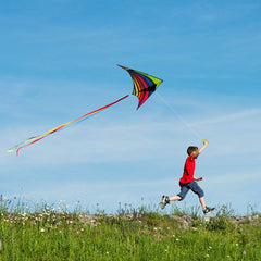 Mint's Colorful Life Delta Kite arrives compactly in a 63x30 inch frame.
