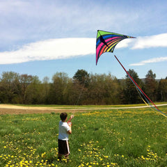 Mint's Colorful Life Delta Kite features three ribbons for enhanced visibility.