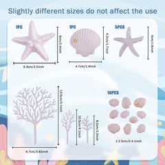 Morofme mini seashell decorations bring delicate beach detail.