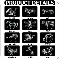 Motiskyy Animal X-Ray Flashcard Sheep reveals internal structure for classroom exploration.