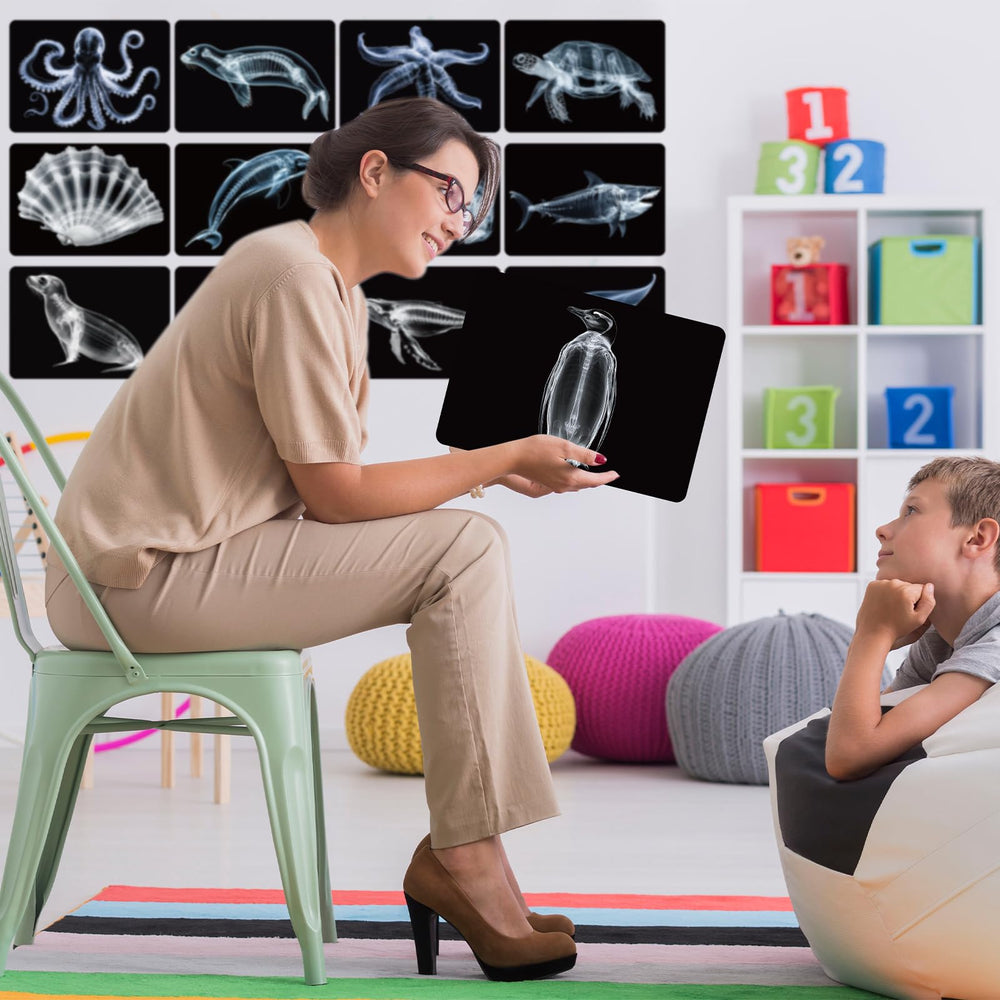 Motiskyy Marine Animal X-Ray Octopus card for exploring diverse anatomy features.
