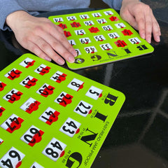 MR CHIPS reusable laminated option supports dry-erase gameplay
