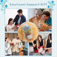 MS ZHENQIAO Thoughtful design for gifting among friends and colleagues