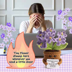 MS ZHENQIAO emotional support card offers encouraging words with the doll.