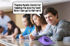 MunnyGrubbers Mystic Conch Shell gift idea for teens and adults.