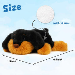 Mushymallow dachshund plush front view highlights realistic yet friendly design