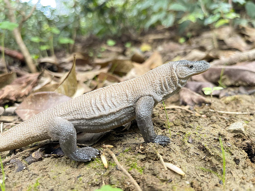 NAKIMO Komodo Dragon figurine education demo for classrooms
