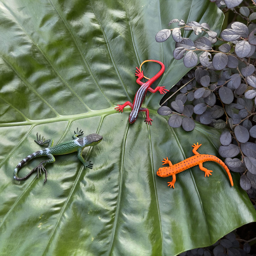 NAKIMO gift lizards serve as camping prizes and party favors.
