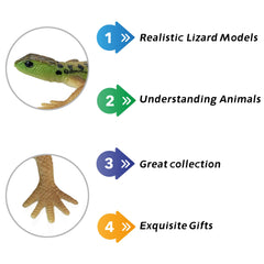 NAKIMO lizard toy designed as a durable model for kids' science demos