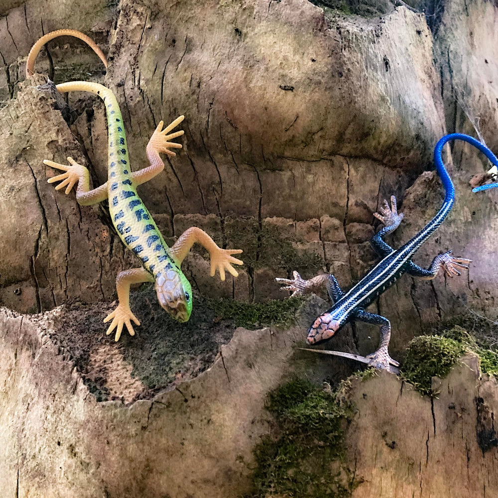 NAKIMO lizard toy Set A is a perfect stocking stuffer for curious kids