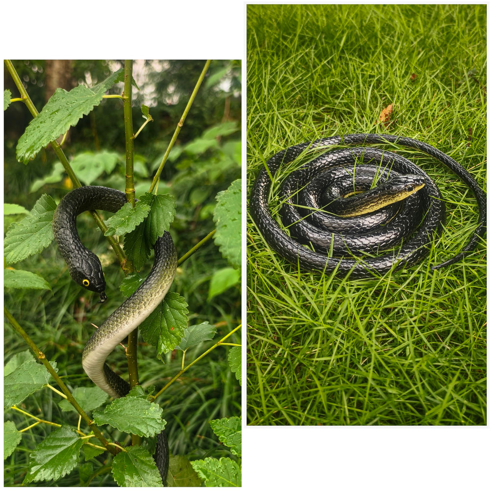 NAKIMO prank gift snake, boosts party fun with playful scares