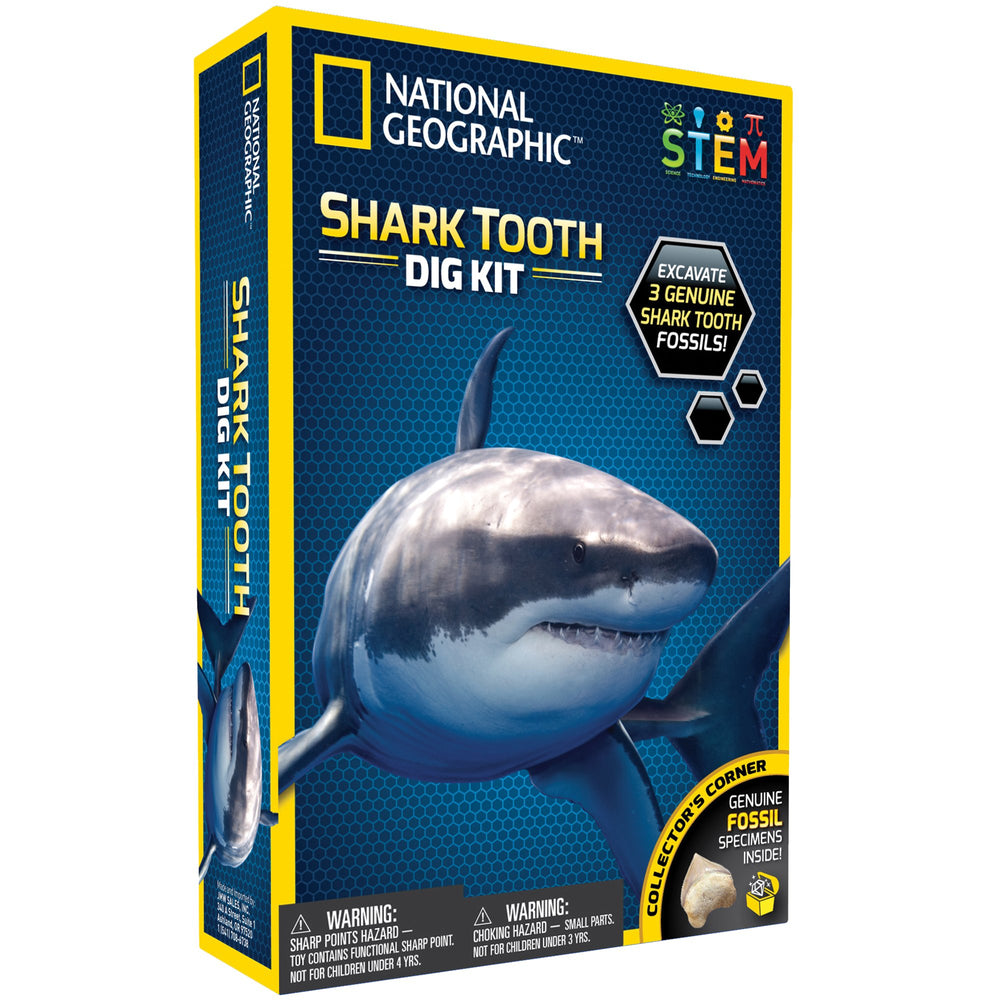 National Geographic Dig Kit crow, sand tiger, and otodus teeth for study
