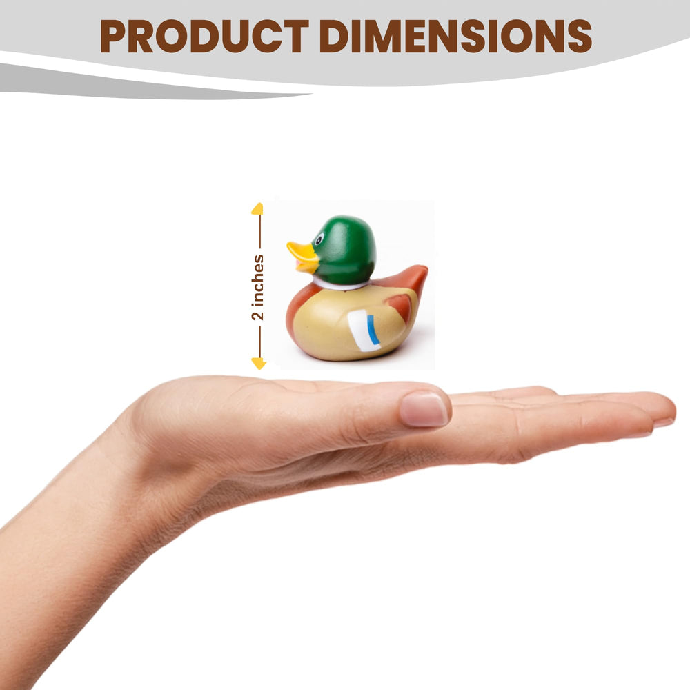 Natural State Novelty Mallard Duckies blue accents enhance playful shelves