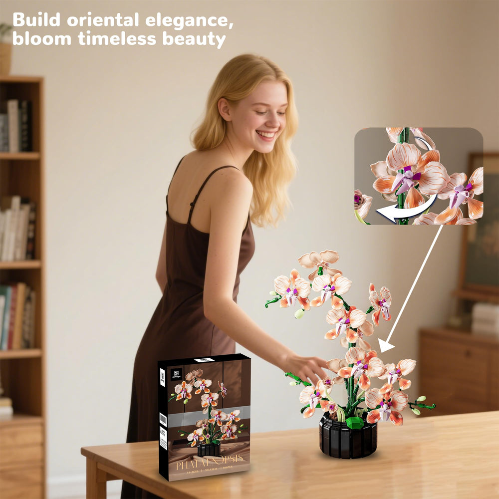 Nayihoop Orchid living room display creates a chic focal point