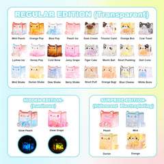 Square Cat Series figures arranged on a shelf display