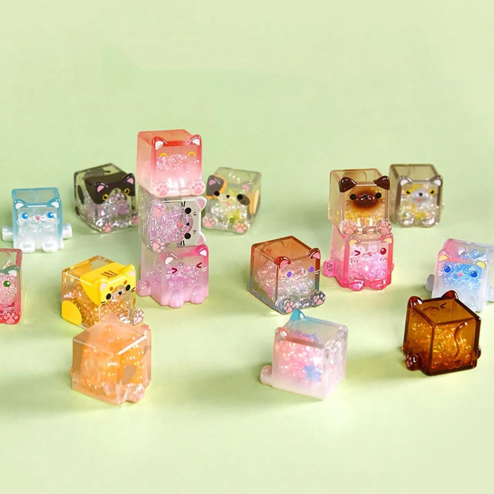 Gift packaging for NBBRDDN Square Cat Series blind box