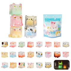NBBRDDN glow-in-the-dark square cat box viewed front for display and collection