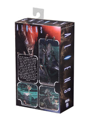 NECA Alien Warrior brown egg accessory adds scene-building detail for shelves.