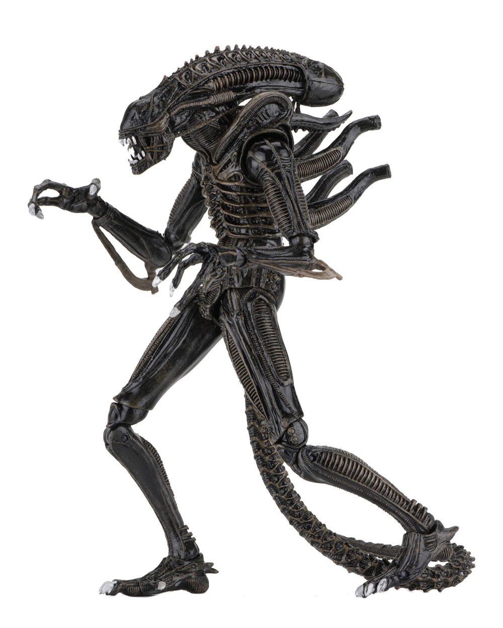 NECA Alien Warrior brown front view with detailed sculpt and poseable joints.
